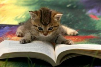 Read more ...
